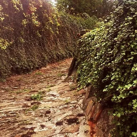 Pays De L'ours Pyrenees Calme De La Montagne Et Nature, Randonnee, Espagne A 10 Minuts