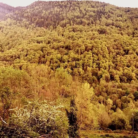 Pays De L'ours Pyrenees Calme De La Montagne Et Nature, Randonnee, Espagne A 10 Minuts * Melles
